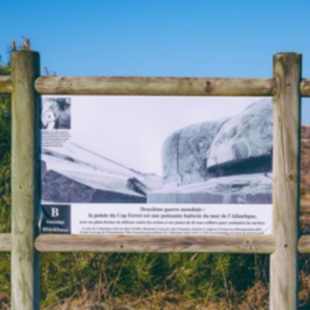 L’Abécédaire des Dunes : une balade poétique en pleine nature